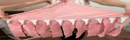 Guinea Pig rodents for sale: 11-Month-Old Male Guinea Pig + Cage & Accessories in Norwich - Advert 11
