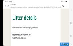 Labrador Retriever dogs for sale: Stunning Fox red Labrador pups - Image 13