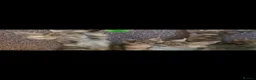 Maine Coon cats for sale: TICA Registered Maine Coon Kittens. - Advert 5