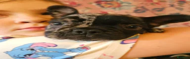 Puppy 1