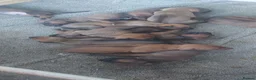 Rhodesian Ridgeback dogs for sale: Kc reg.health tested Rr puppies in Rugby - Advert 10