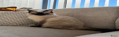 Karen