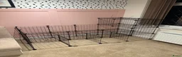 Guinea Pig rodents for sale: Hen & Popcorn Full Indoor Setup Loving Home Needed in Yateley - Advert 3