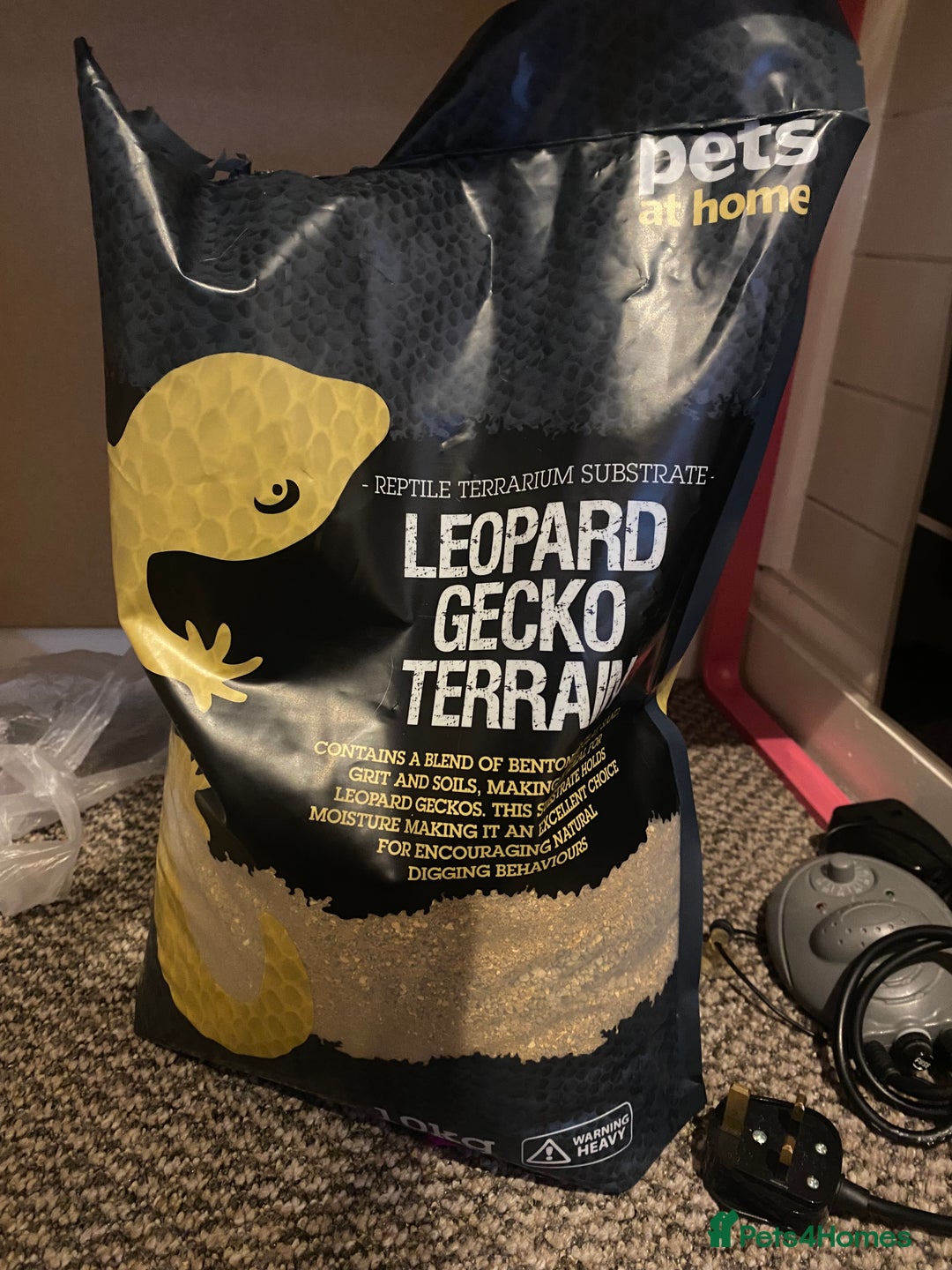 Leopard Gecko reptiles for sale: Leopard gecko for sale (with all accessories) - Image 7