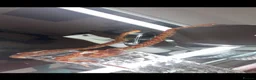 Corn Snake reptiles for sale: Corn snake with Viv for sale  - Advert 2