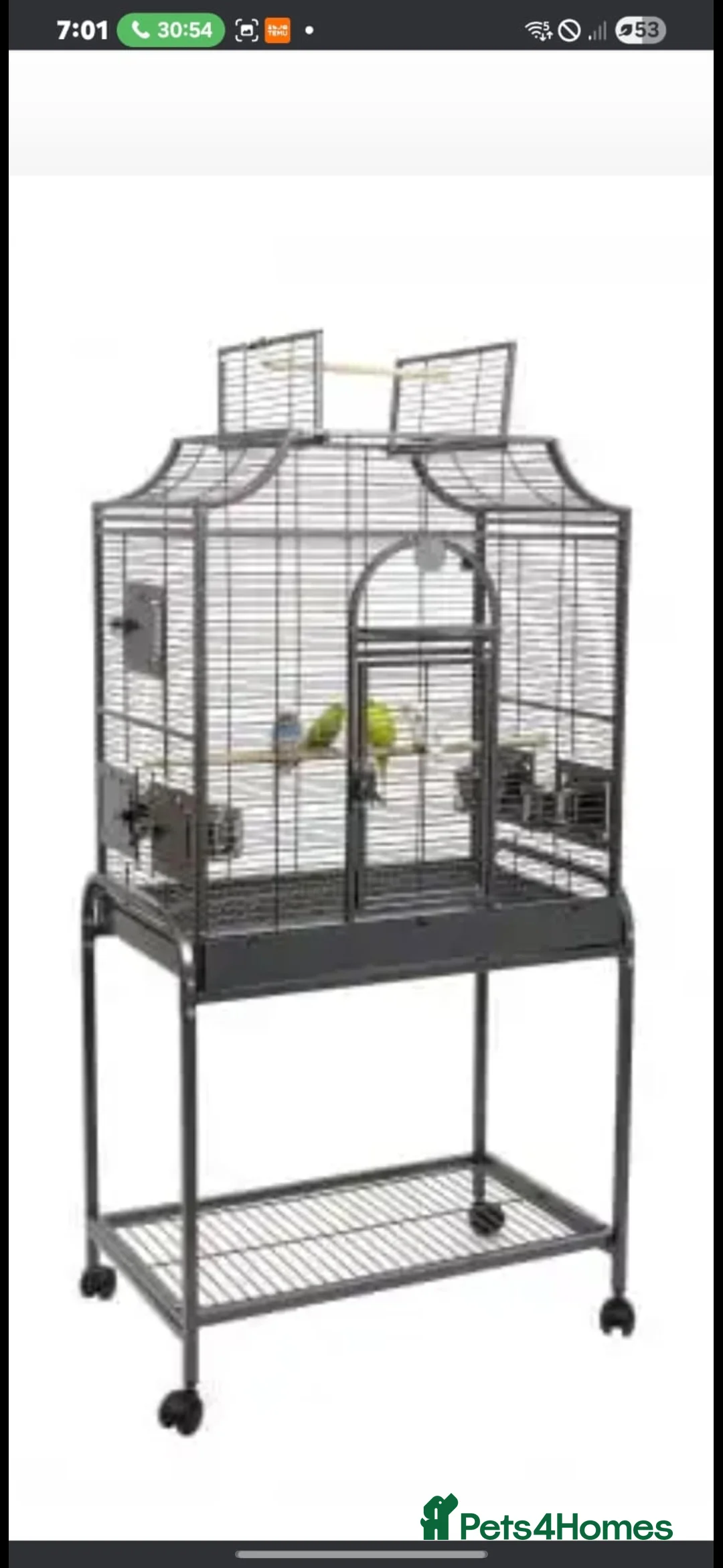 Budgerigars birds for sale: Bugies and cage - Advert 3