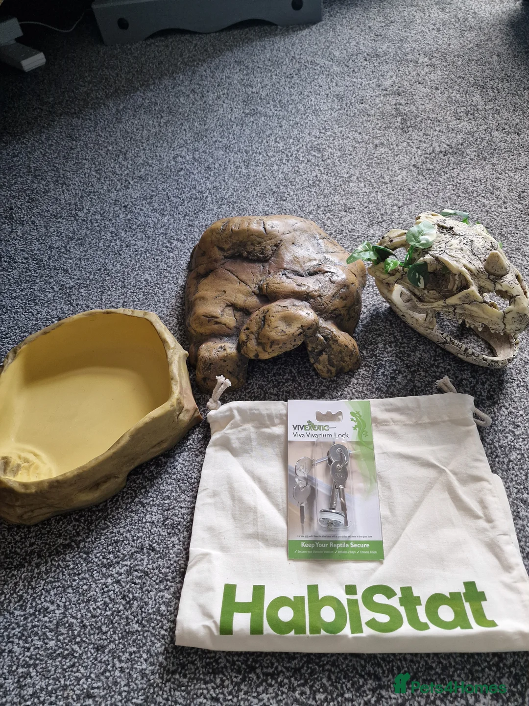 Snake reptiles for sale: 15 month old royal python plus complete set up - Advert 10