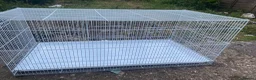 Mixed Breed birds for sale: Cage for sale ideal for small birds - Advert 5
