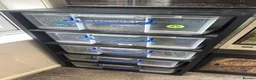 Python Snake reptiles for sale: Rack and 5 royals  in Rugeley - Advert 1