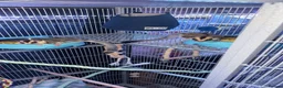 Sugar Glider rodents for sale: Sugar gliders and cage  in Rotherham - Advert 2
