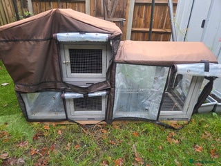 Guinea Pig rodents Animal cage - Advert 21