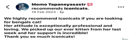 Bengal cats for sale: 🎬 Little Leopard Diaries | TICA BENGAL KITTENS 💎 - Advert 17