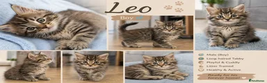 Leo