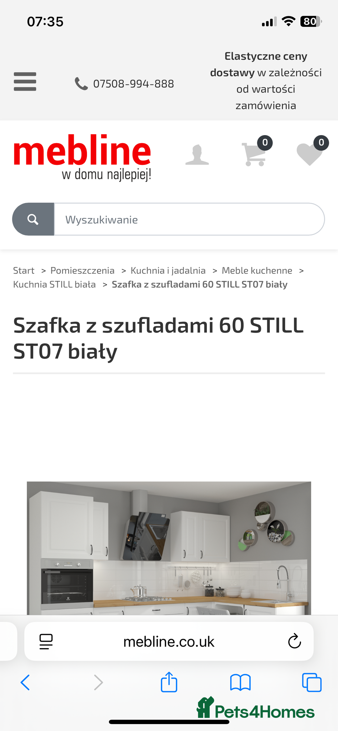 Mini Lion Lop rabbits for sale: for sale mini lop  - Advert 4