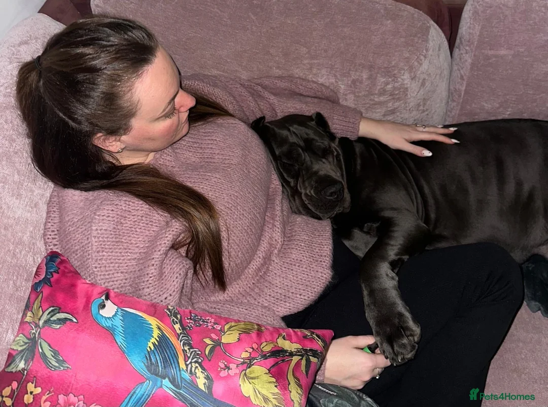 Gallery Image {{count}}