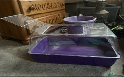 Hamster rodents for sale: Full hamster/mouse cage and setup  - Image 3