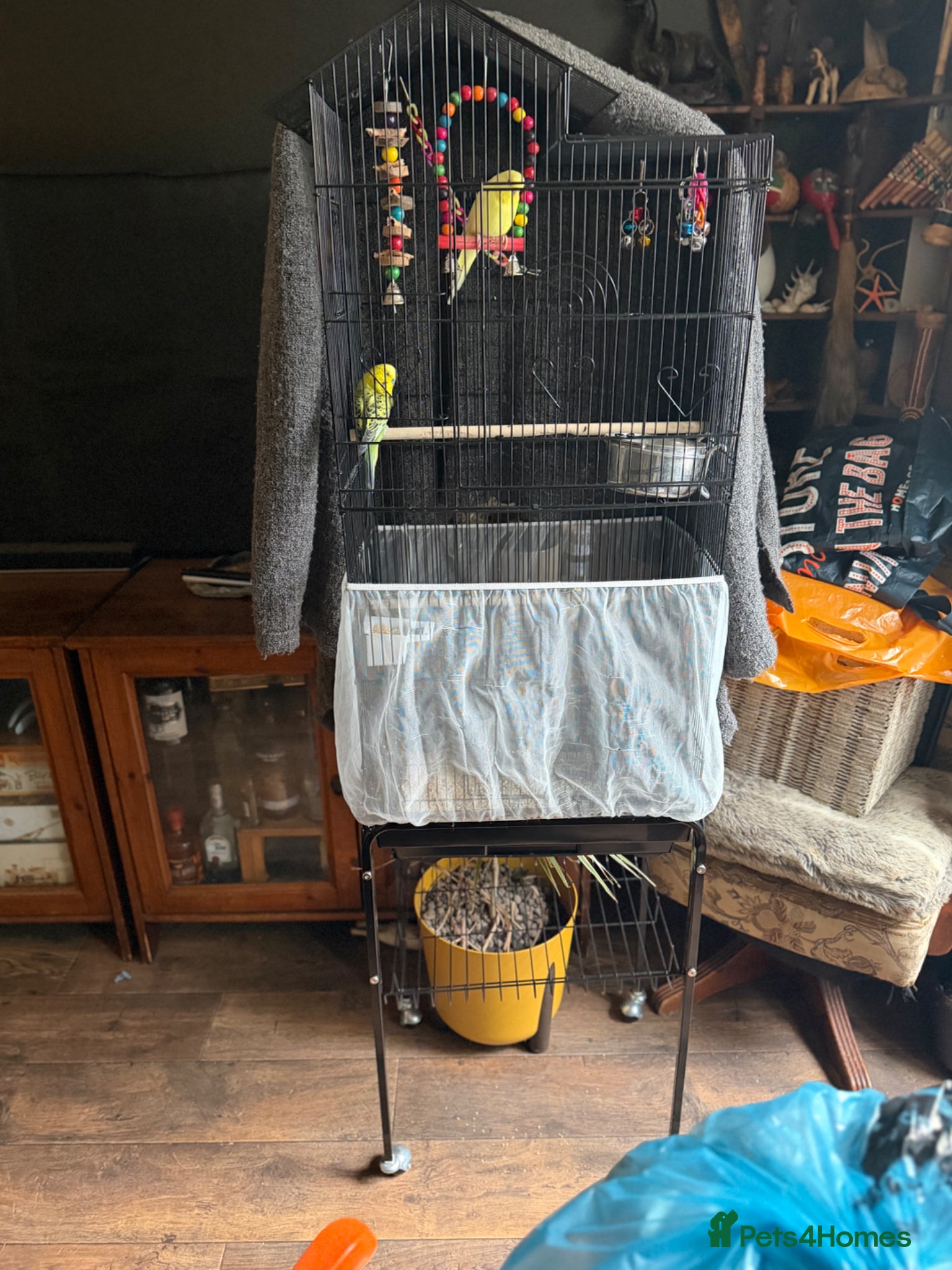 Mixed Breed rodents Large Tall Bird Cage w/ Rolling Stand &Accessories - Advert 1