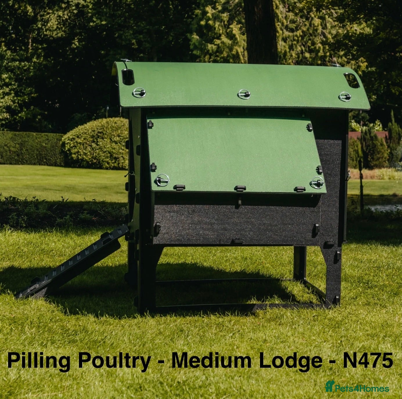Chickens poultry Pilling Poultry - Chicken Lodge - Medium - Advert 2