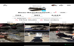 Neapolitan Mastiff dogs for sale:  Neapolitan mastiff puppies Newcastle  - Image 32