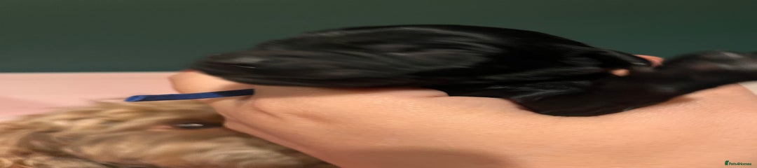 Black boy (might have tan points)