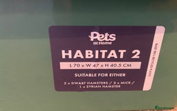 Hamster rodents for sale: Pets at home cage and wheel - Image 8