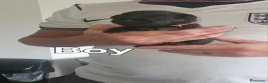 Patterdale Terrier 1