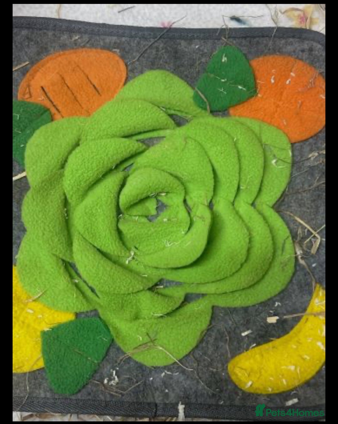 Guinea Pig rodents for sale: 2 male guinea pigs with cage+extras included  - Advert 12