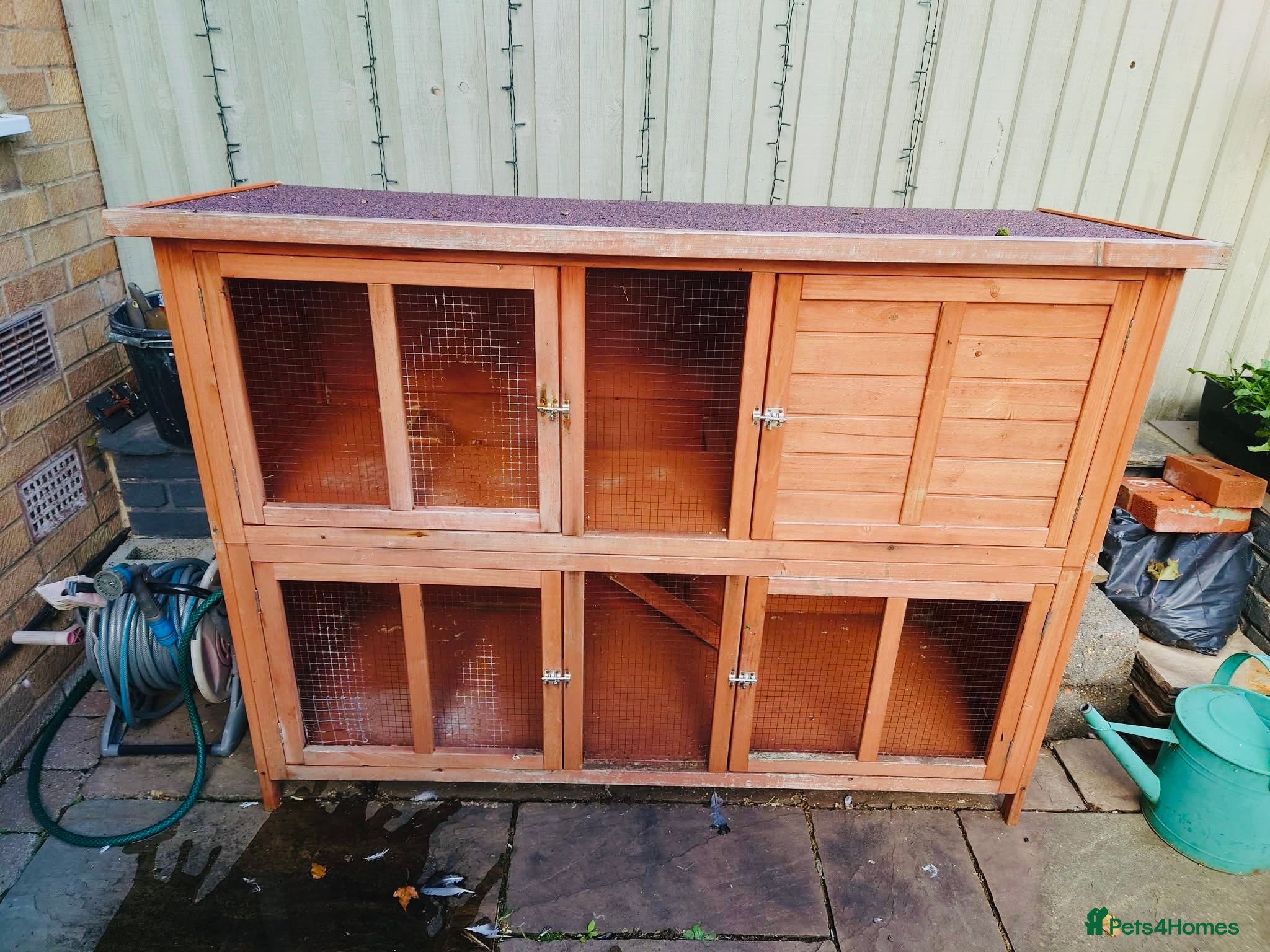 Mixed Breed rabbits Double hutch and rabbits  - Advert 1