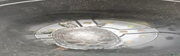 Turtle reptiles for sale: 2 Turtles Land and Water  in Shipley - Advert 2