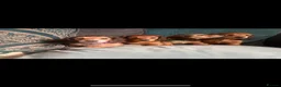 Miniature Dachshund dogs for sale: Long haired miniature dachshunds - Advert 10