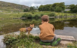 Bengal cats for sale: STUNNING PEDIGREE BENGAL KITTENS  - Image 17