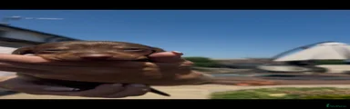 Miniature Dachshund 3
