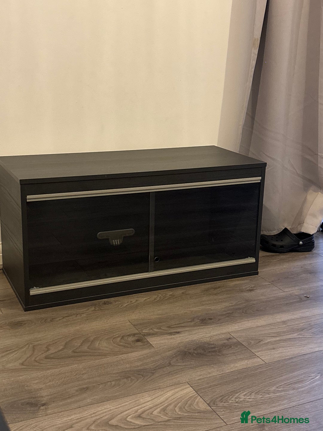 Corn Snake reptiles for sale: Charcoal Corn Snake morph and 3ft viv set up - Advert 4