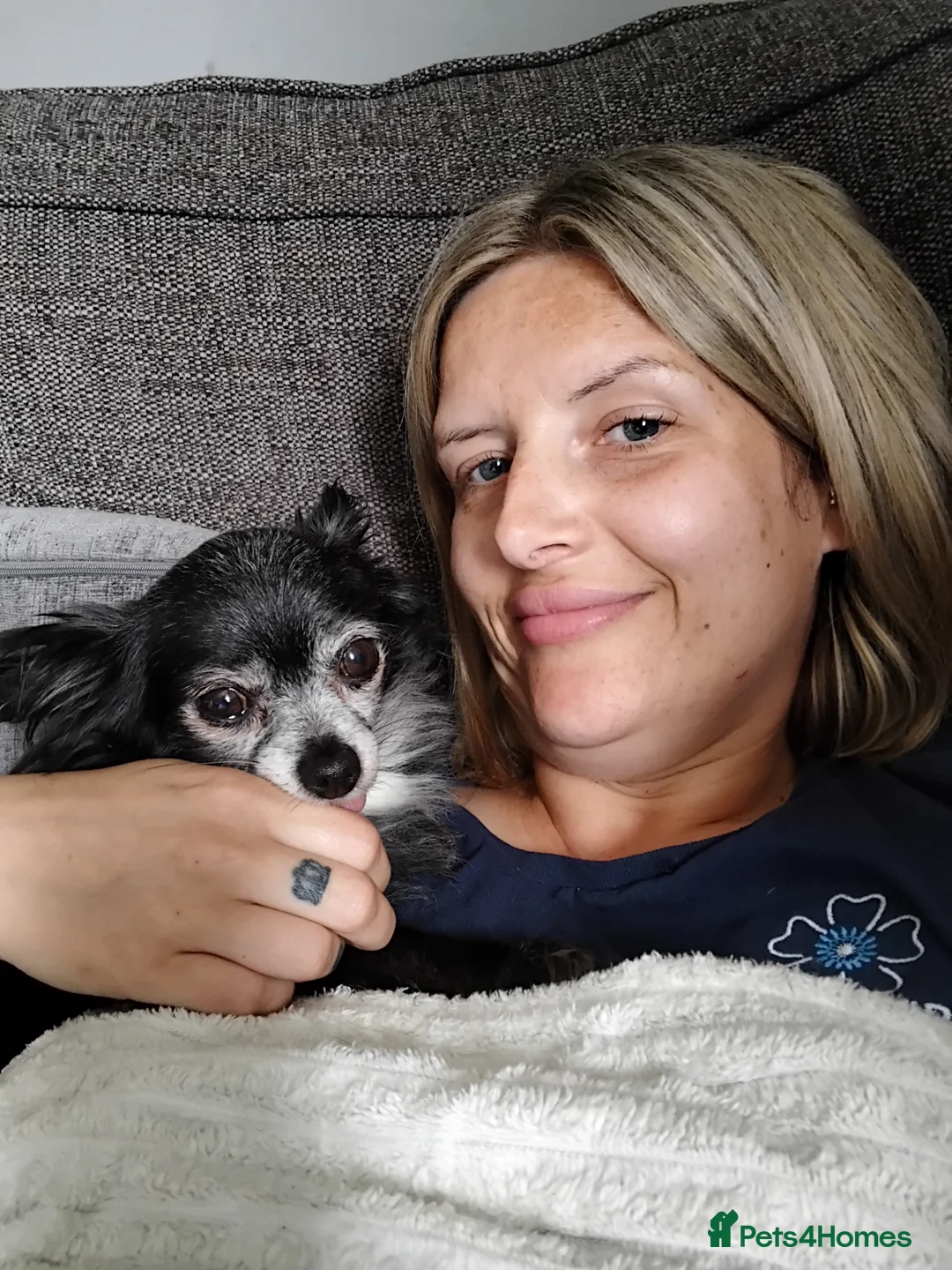 Pomchi dogs for sale: Beautiful tiny chihuahua girl - Advert 8