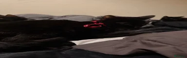 Black kitten 2 