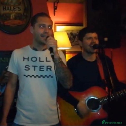 Gallery Image {{count}}