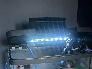 Turtle reptiles 2 baby turtles and full set up - Advert 1