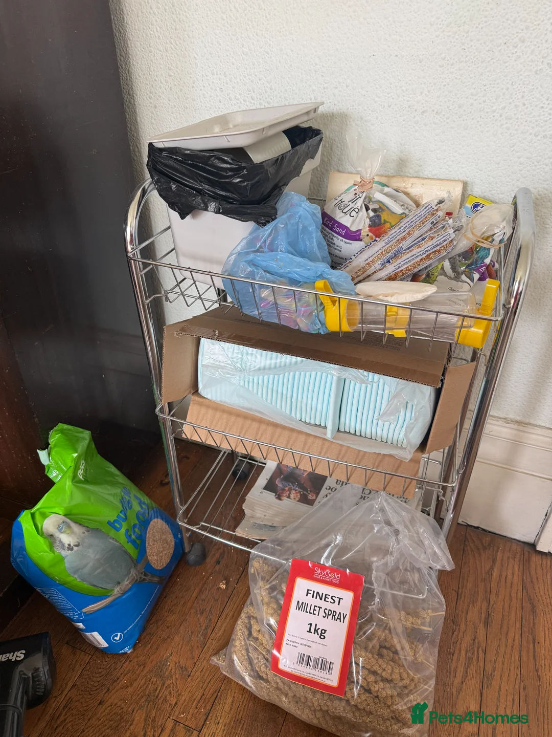 Budgerigars birds for sale: Large cage & 3 Budgies   in Bristol - Advert 8