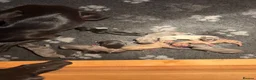 Whippet dogs for sale: Beautiful KC Whippet puppies  - Advert 17