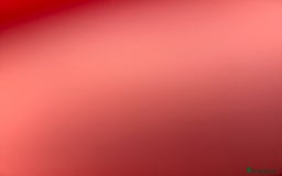 British Longhair cats for sale: Kitten for sale (Luna)  - Advert 5