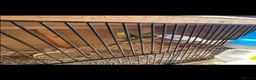 Budgerigars birds for sale: Budgies  in Worksop - Advert 10
