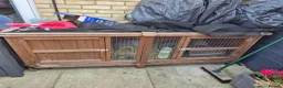 Guinea Pig rodents for sale: Guinea pigs with cage etc in Royston - Advert 3