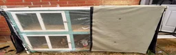 Guinea Pig rodents for sale: Two male guinea pigs plus hutch  in Horsham - Advert 3