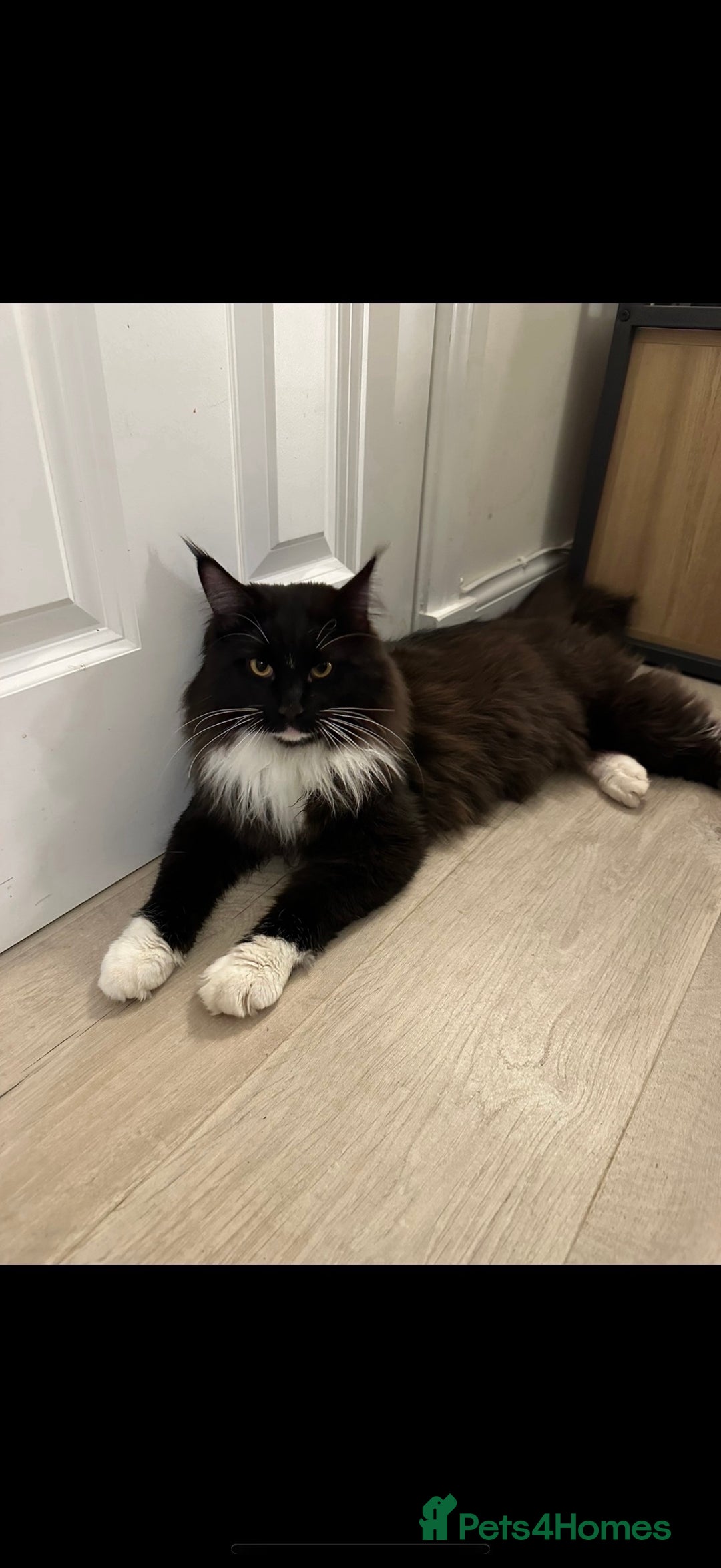 Gallery Image {{count}}