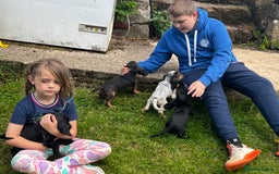 Cocker Spaniel dogs for sale: Stunning small cocker spaniel puppies - Image 3