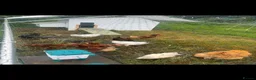 Chickens poultry for sale: Rehoming flock of hens  - Advert 1