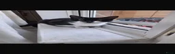 Mixed Breed cats for adoption: Rescue mum and 3 month kitten bonded pair - Advert 3