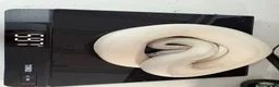 Python Snake reptiles for sale: Ball pythons for sale.  - Advert 8