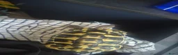 Hermann Tortoise reptiles for sale: Hermann tortoise with full setup in Grimsby - Advert 5