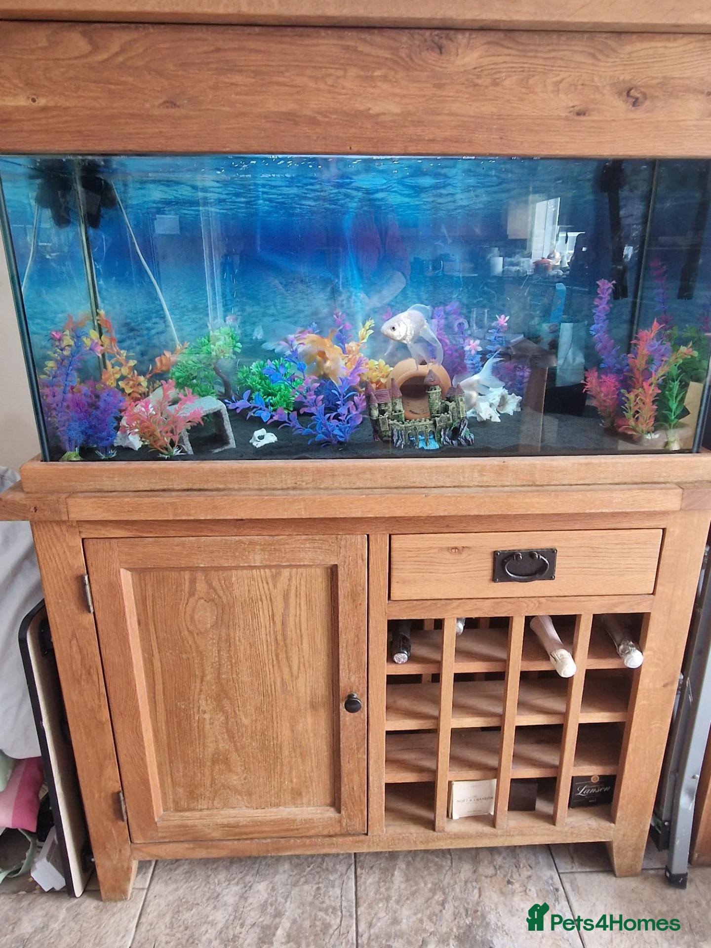 Other/Mixed Breed fish Solid Oak Fish Tank Cabinet  - Advert 13